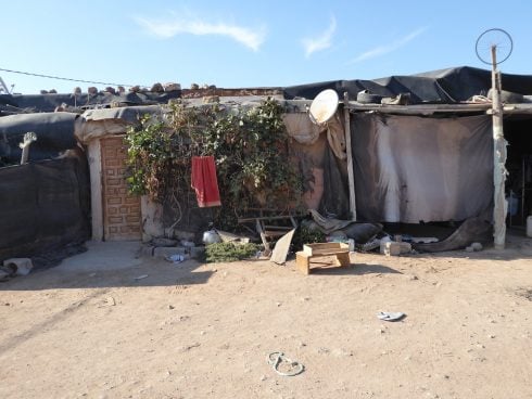 A Touch Of Green In Shanty Town
