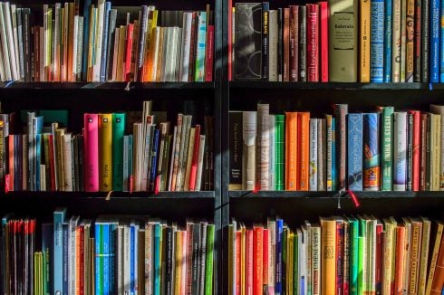 Thief pinched hundreds of books from libraries in Spain's Valencia for online resale