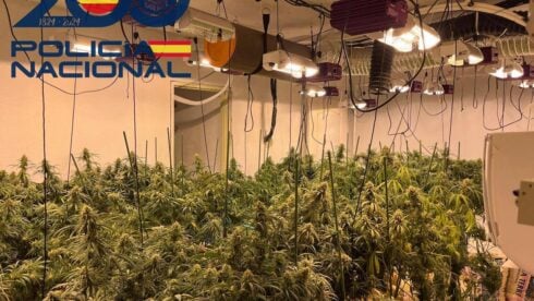 Police kept busy with two big drug busts in Spain's Sevilla